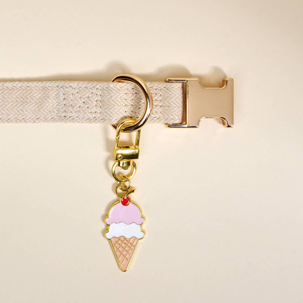 Pet Accessories