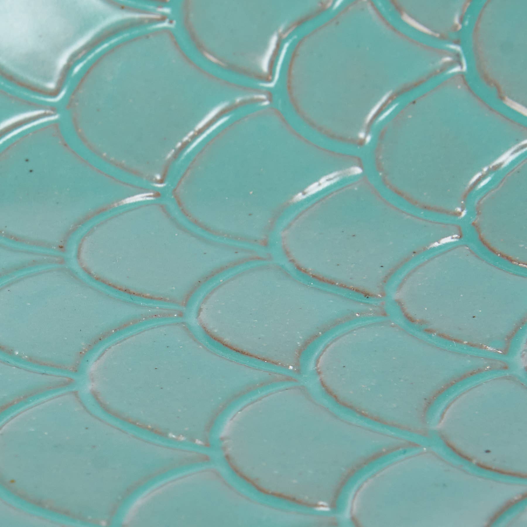 Fish Tray