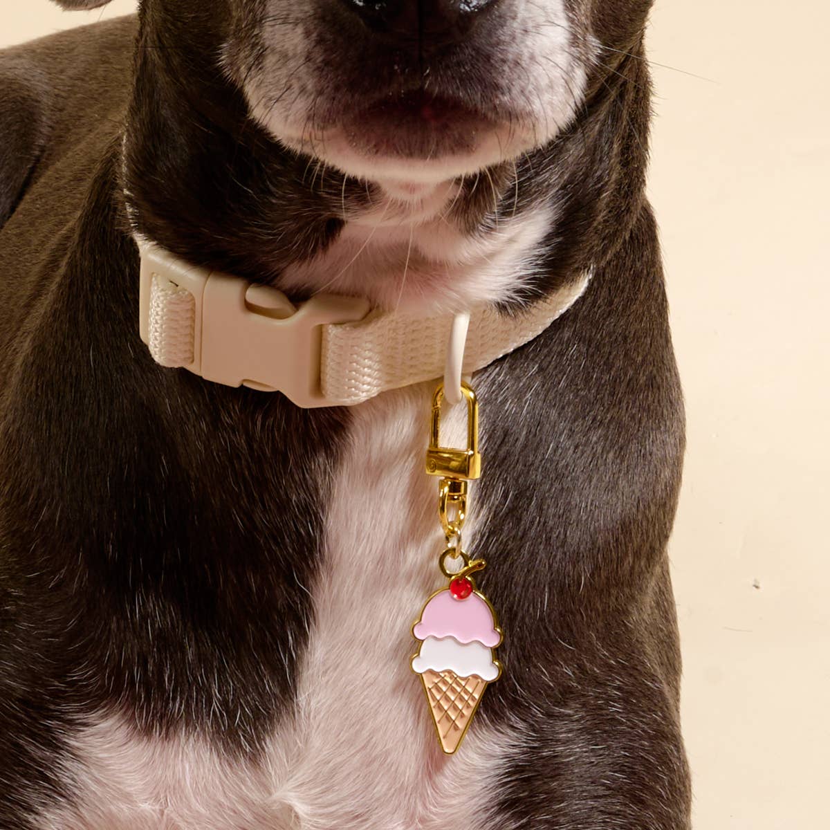 Pawfect Collar Charm–Ice Cream Cone