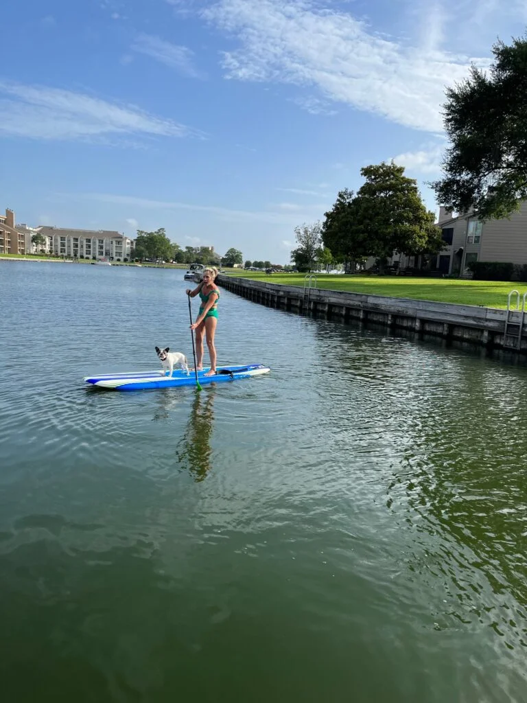 Paddleboarding With Dogs