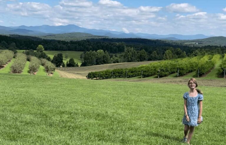 A Perfect Family Day Trip: A Stone’s Throw from Lake Keowee