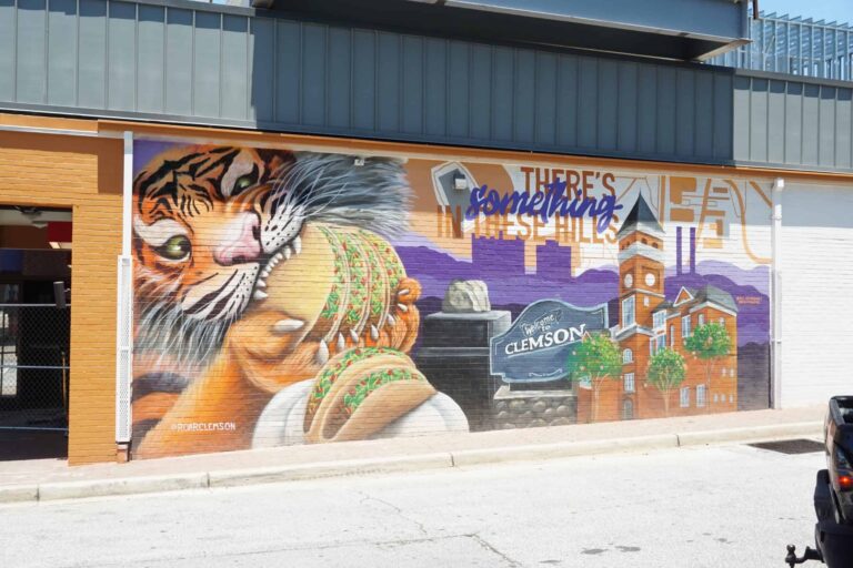 Clemson, South Carolina: Main Street, Things to do on College Avenue