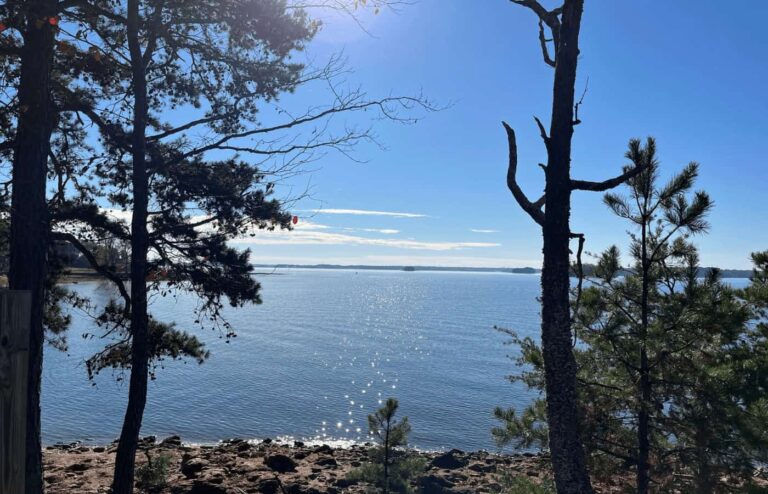 Exploring South Carolina State Parks With the Passport Book