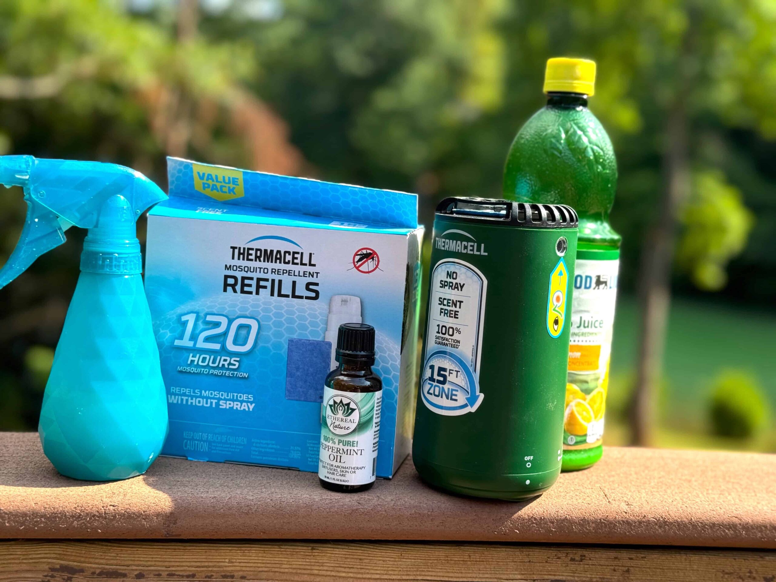 Keeping Bugs Away At Lake House 1