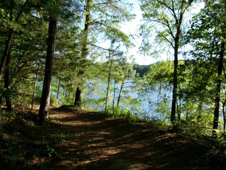 Lakes Near Greenville, SC